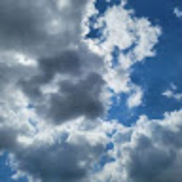 Meet your Posher, Jessie - Picture 1 of 1